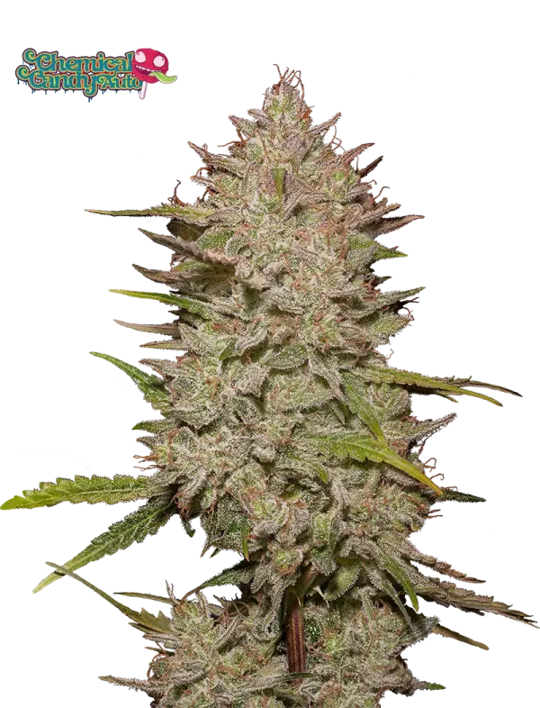 Chemical Candy