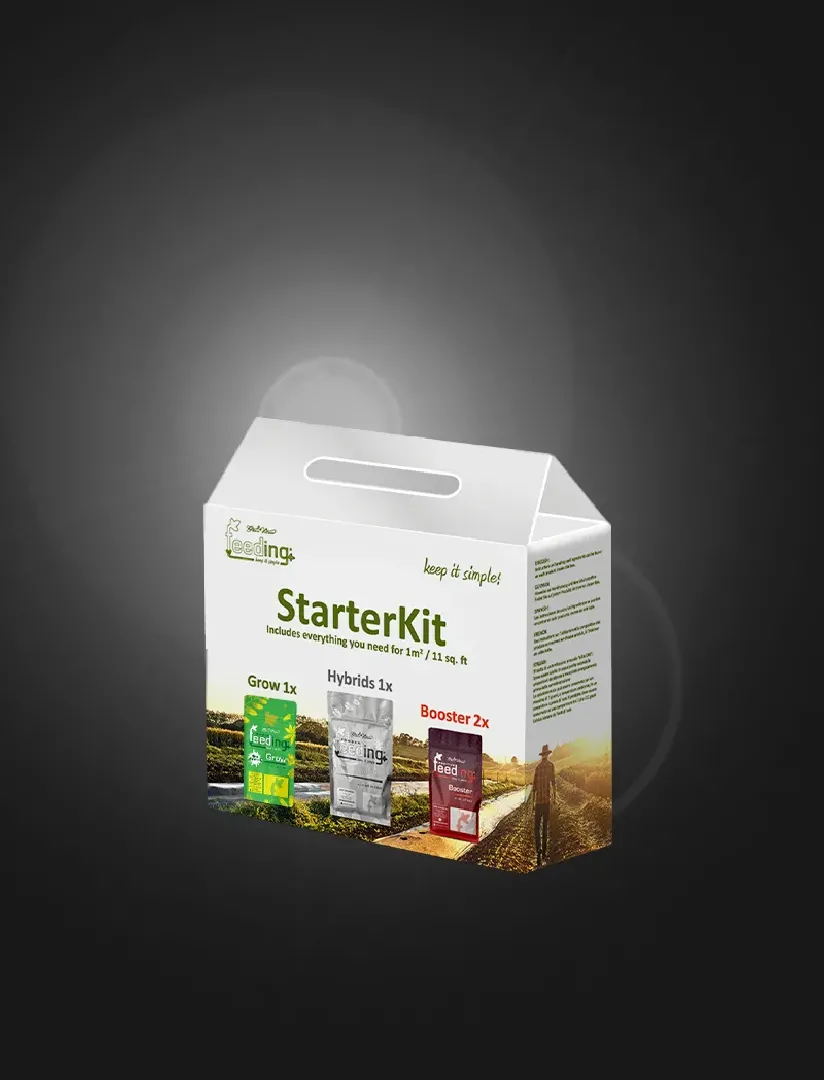 Starter Kit (Mineral)