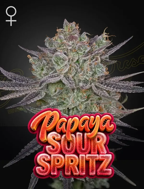 Papaya Sour Spritz