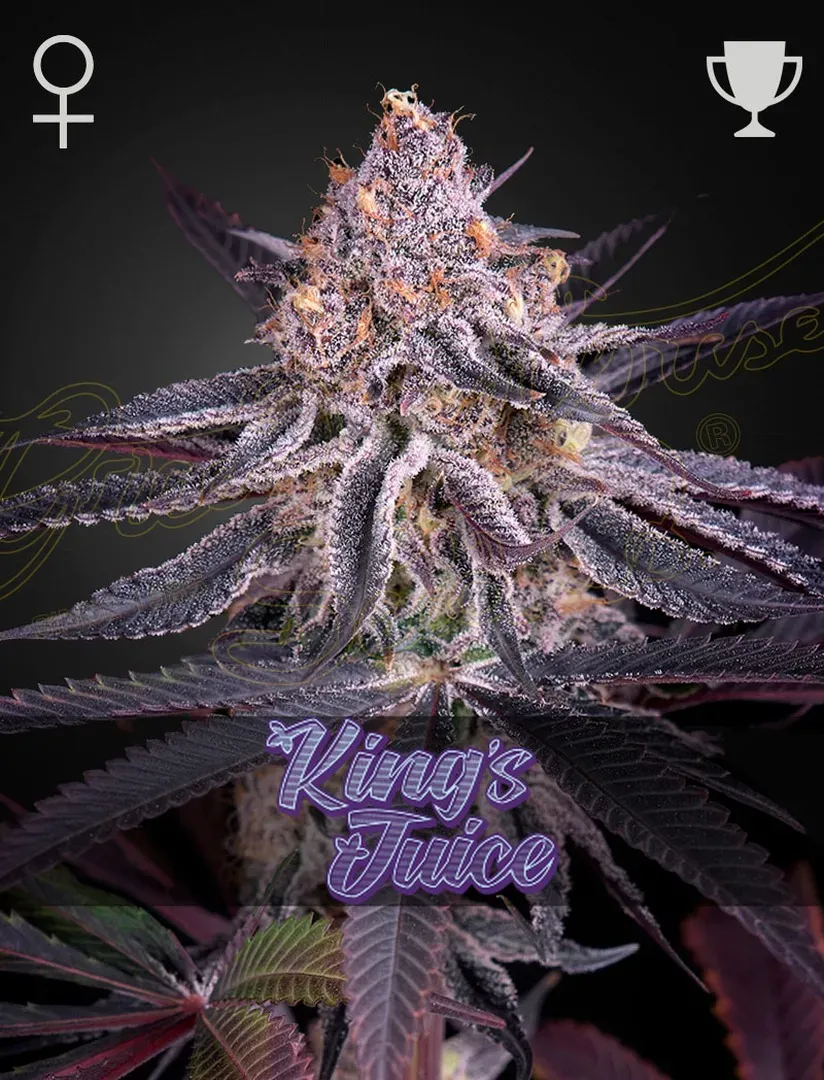 King's Juice