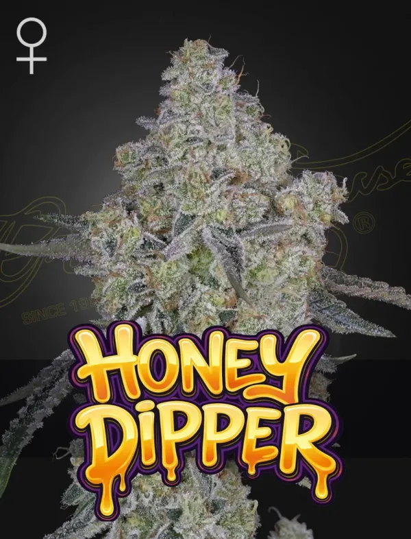 HONEY DIPPER - Air Lemon x Honey Bananas