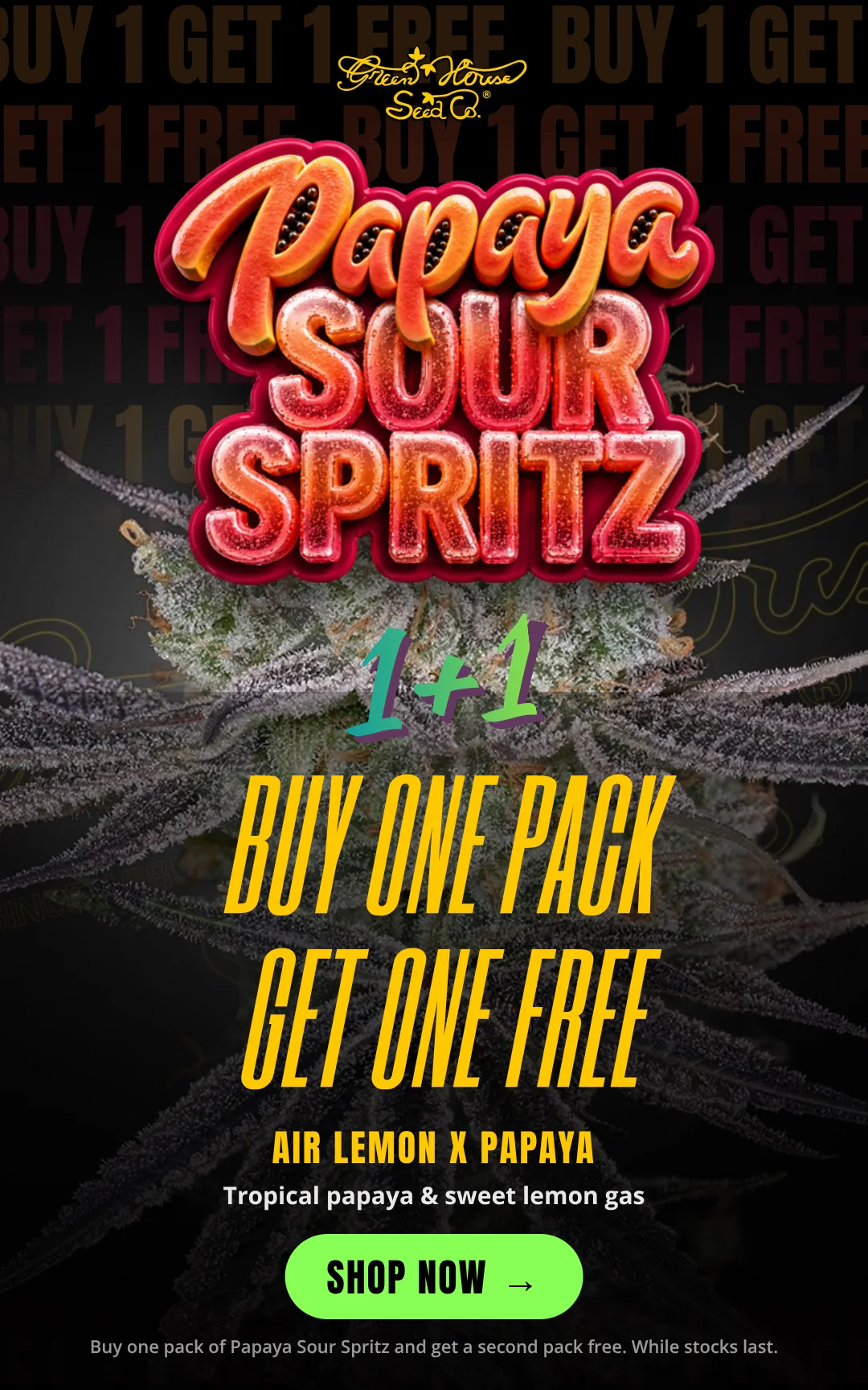 Slide background